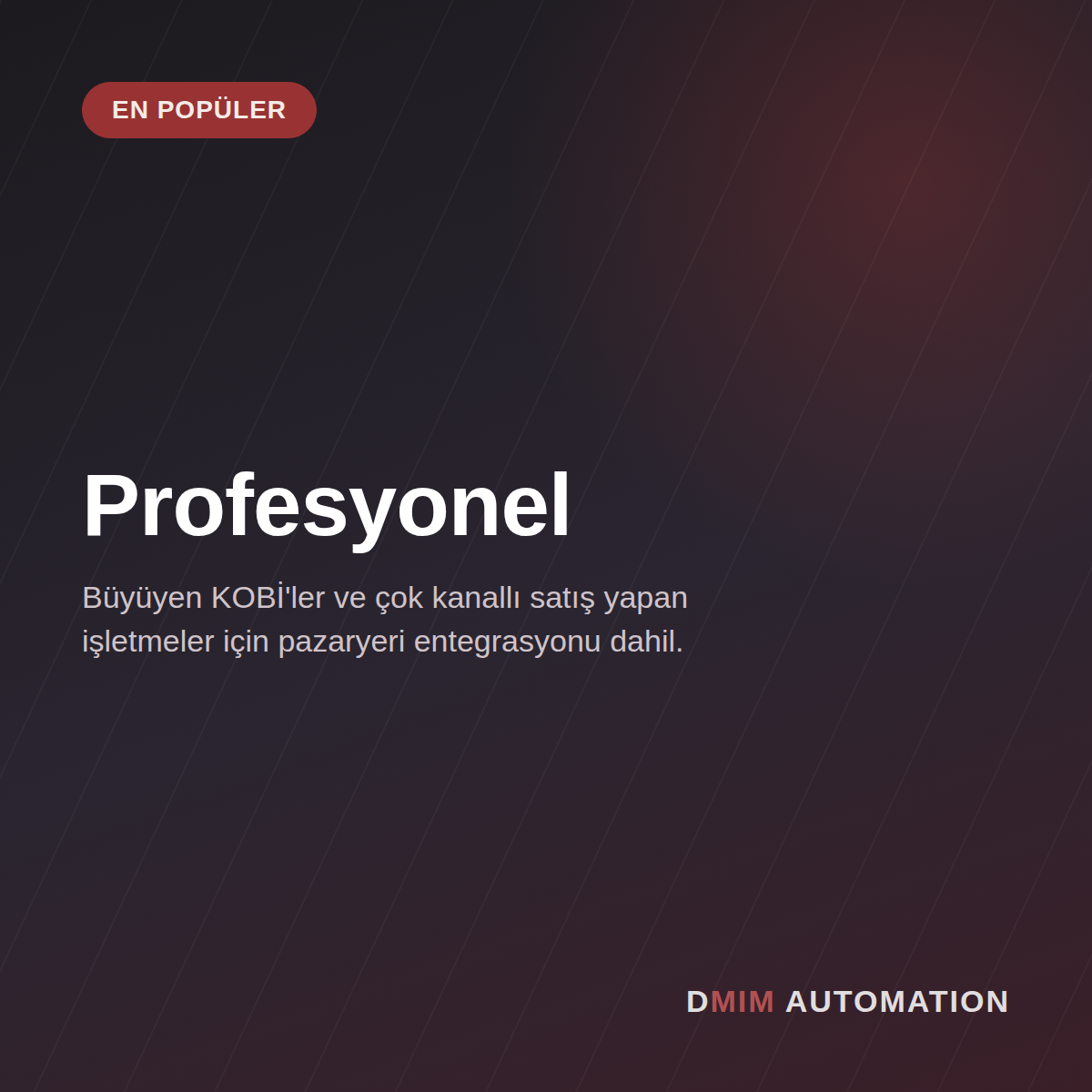 Profesyonel Paket — Aylık ödeme