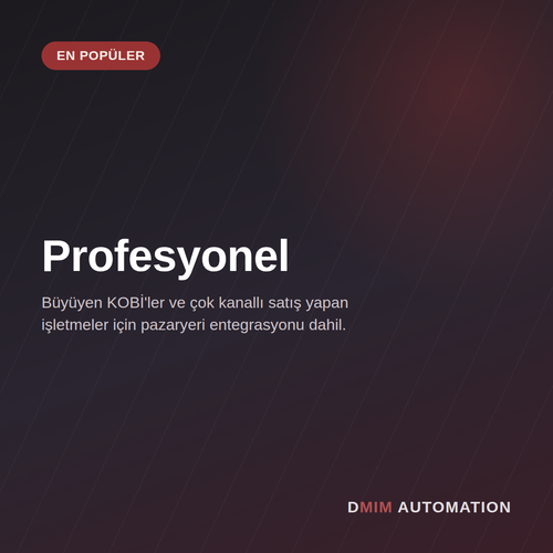 Profesyonel Paket — Aylık ödeme