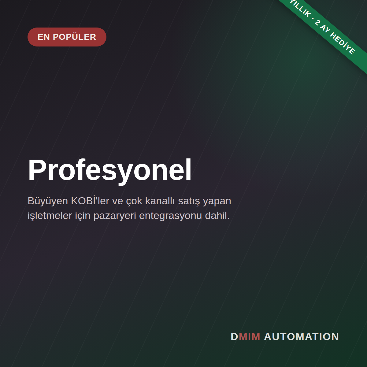 Profesyonel Paket — Yıllık ödeme (2 ay hediye)