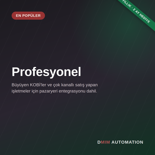 Profesyonel Paket — Yıllık ödeme (2 ay hediye)